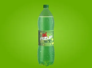 Fizup Next